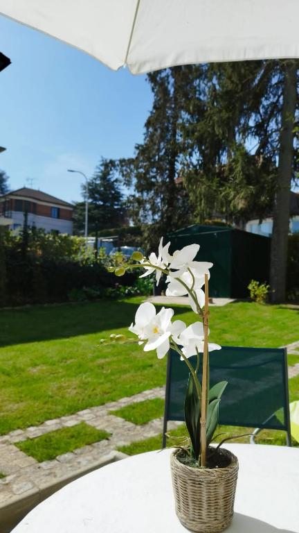 une fleur blanche dans un panier sur une table dans l'établissement Les Acacias - Maison Orly, à Orly