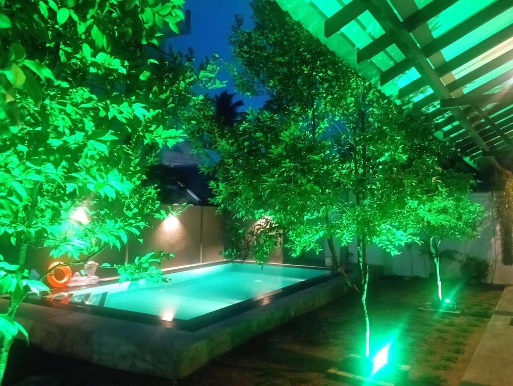 una piscina en un jardín con árboles y luces en The Ritz Hikkaduwa en Hikkaduwa