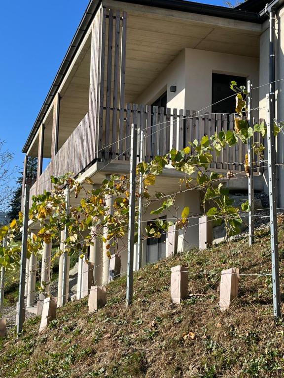 a house with a bunch of trees in front of it at Haus Nebel in Oberhaag