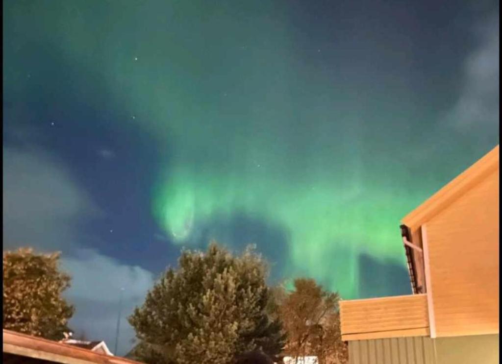 Fotografie z fotogalerie ubytování Kule gule huset v destinaci Svolvær