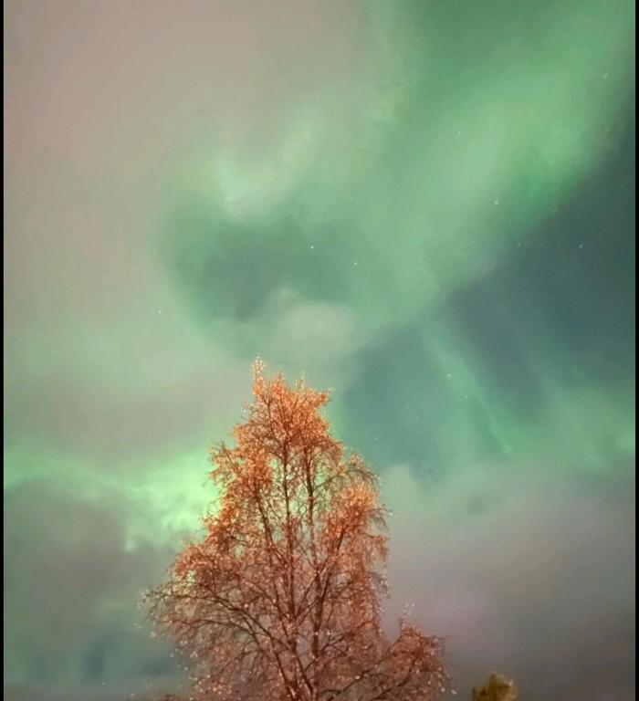 Fotografie z fotogalerie ubytování Kule gule huset v destinaci Svolvær