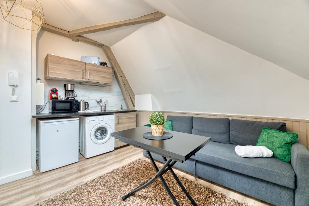 un salon avec un canapé et une table dans l'établissement Le Nature un joli F2 au cœur de Rouen !, à Rouen
