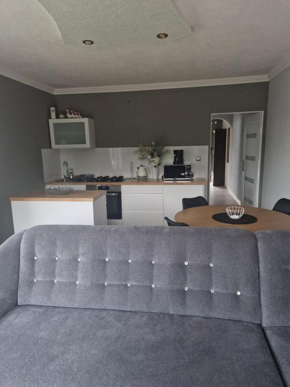 - un salon avec un canapé et une table dans l'établissement Apartament na Gerberów, à Lądek-Zdrój