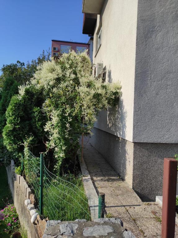 Apartman ZAGREB,REBRO,MAKSIMIR,CENTAR Marko - 16