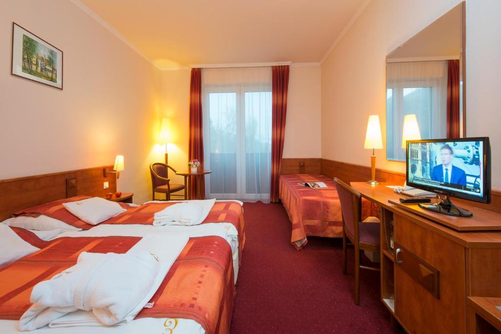 Erzsébet Park Hotel - Habitación Gemela Con Cama Extra