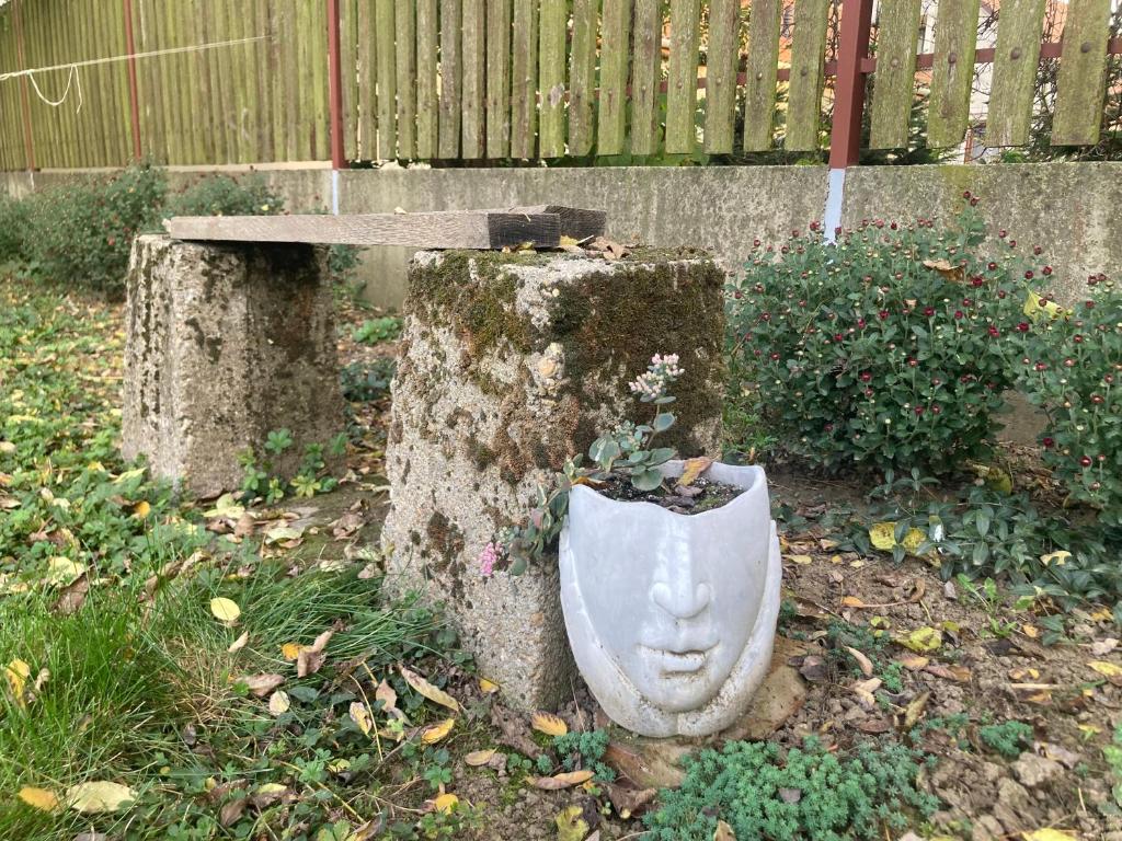 Zahrada ubytování Tiszavirág Vendégház