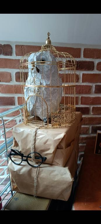 une cage pour oiseaux assise sur un tas de sacs dans l'établissement La Taverne des sorciers de Perigueux, à Périgueux
