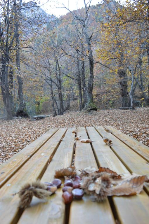 una mesa de picnic de madera en un parque con hojas. en La Slitta en Roure Turin