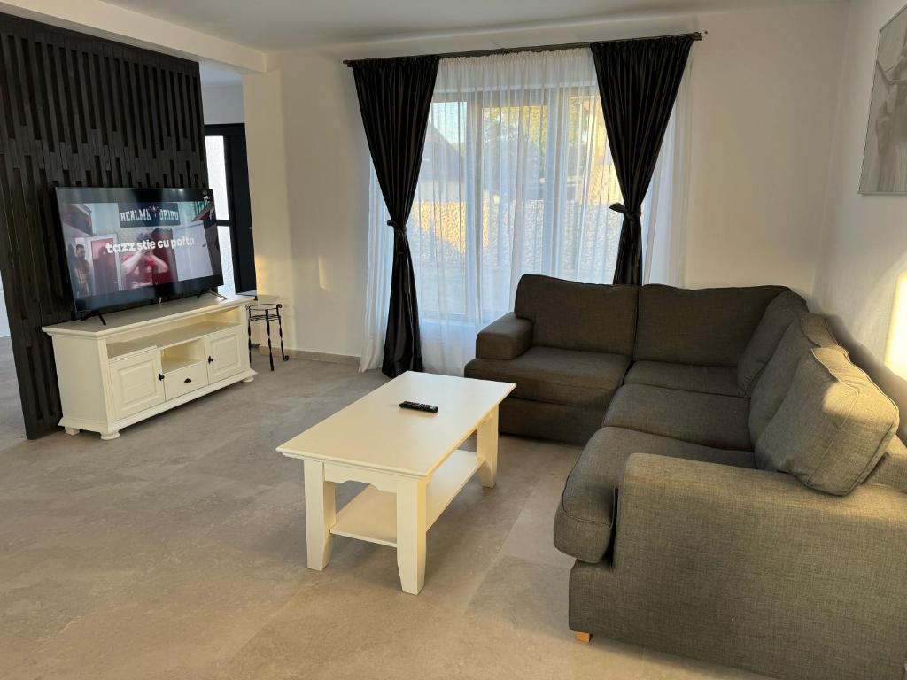 TV a/nebo společenská místnost v ubytování Casa Andreea