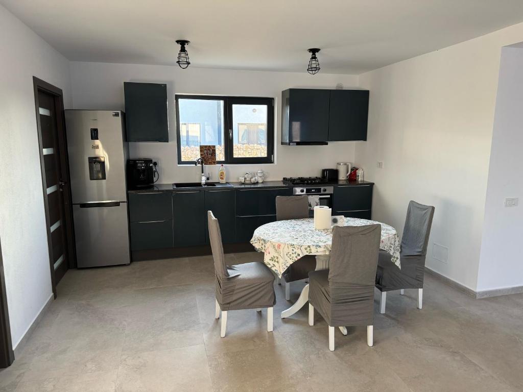 Kuchyň nebo kuchyňský kout v ubytování Casa Andreea