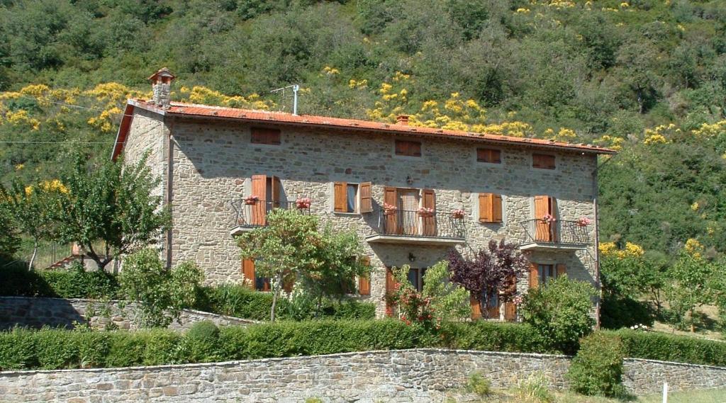 Montanare