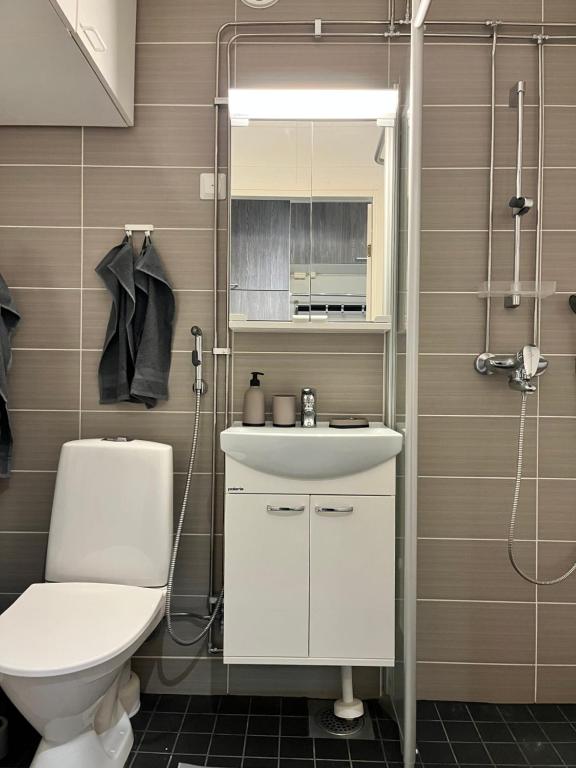 Un baño con inodoro, lavabo y ducha. en Polar apartment, en Rovaniemi