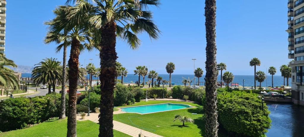 uma vista para um parque com palmeiras e uma piscina em Departamento en primera línea del mar em Viña del Mar