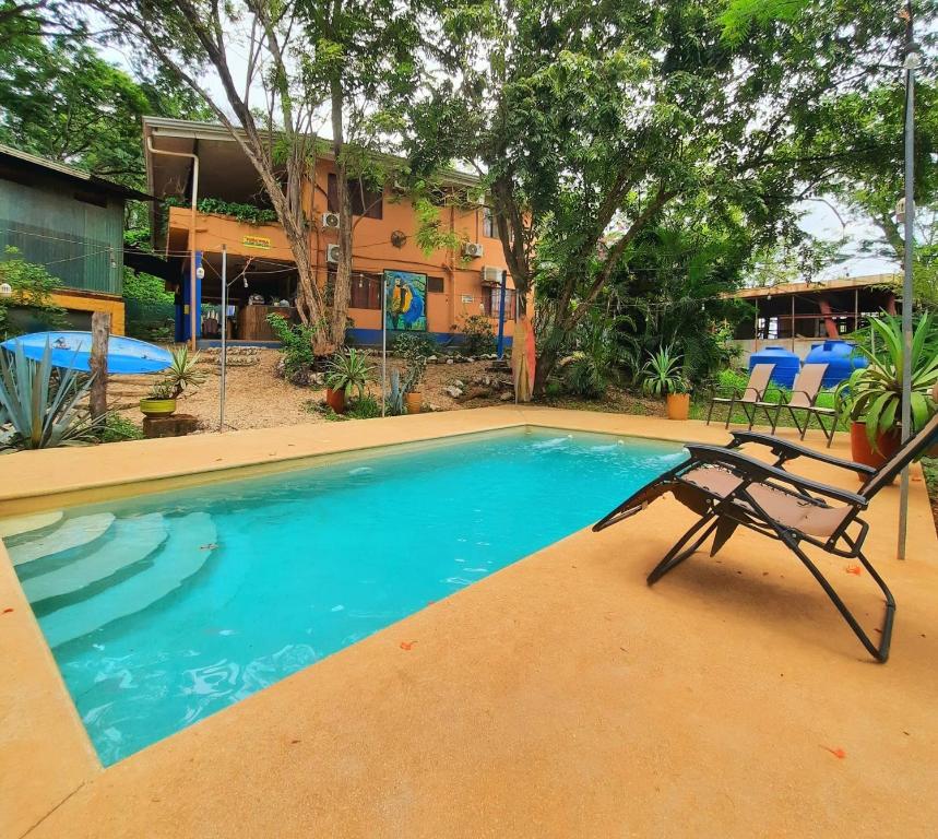a swimming pool with a chair and a house at Casa Pura Vida Surf Hostel - Tamarindo Costa Rica in Tamarindo