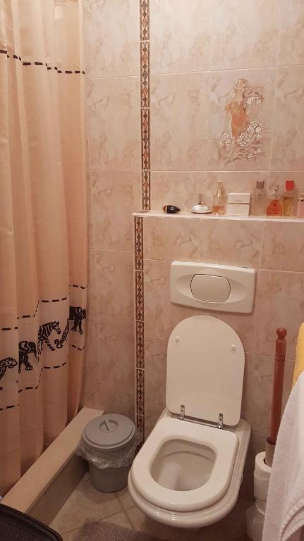 Fotografie z fotogalerie ubytování Apartments in Buzinija/Istrien 38801 v destinaci Bužinija