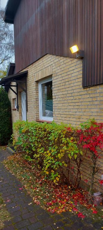 a house with a bunch of flowers in front of it at Ferienwohnung in Bad Segeberg