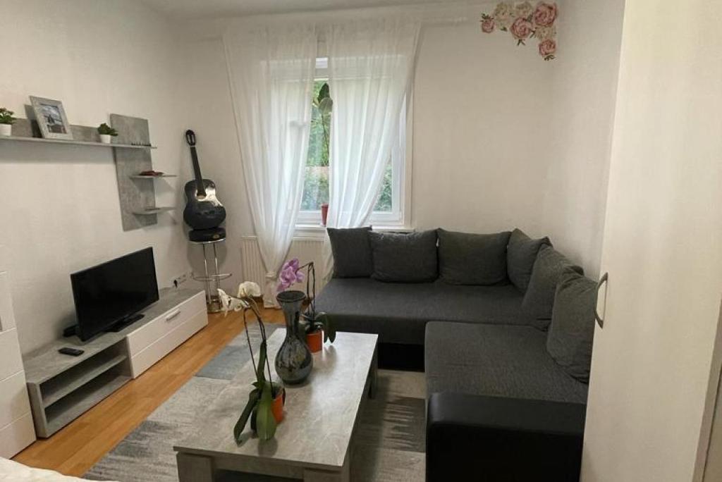 a living room with a gray couch and a television at Private Apartment in Hannover