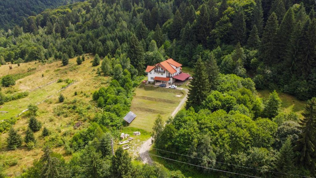 a house on a hill in the middle of a forest at Casa Negru Vodă Breaza in Breaza