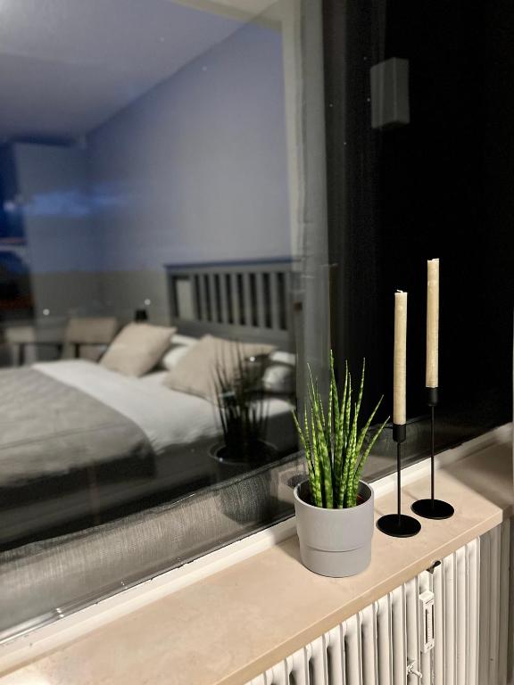 KELLER APARTMENT I 106 Kniebis, Freudenstadt (updated prices 2024)