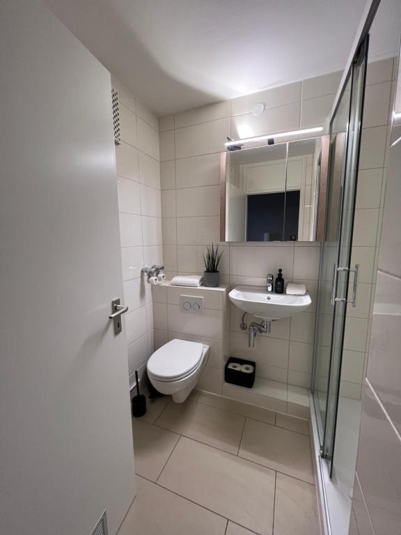 La salle de bains est pourvue de toilettes et d'un lavabo. dans l'établissement KELLER APARTMENT I 106 Kniebis, à Freudenstadt