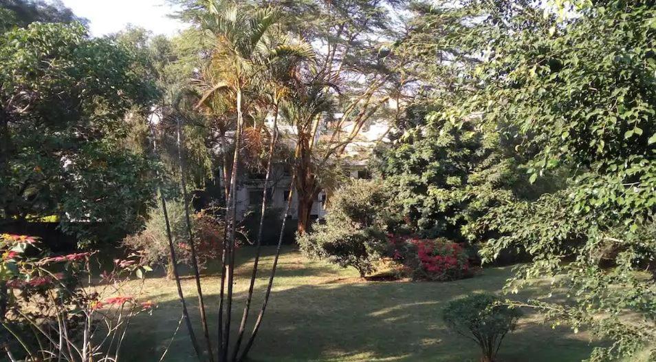 a garden with palm trees and a house at the botanical bliss 1 bedroom in Nairobi