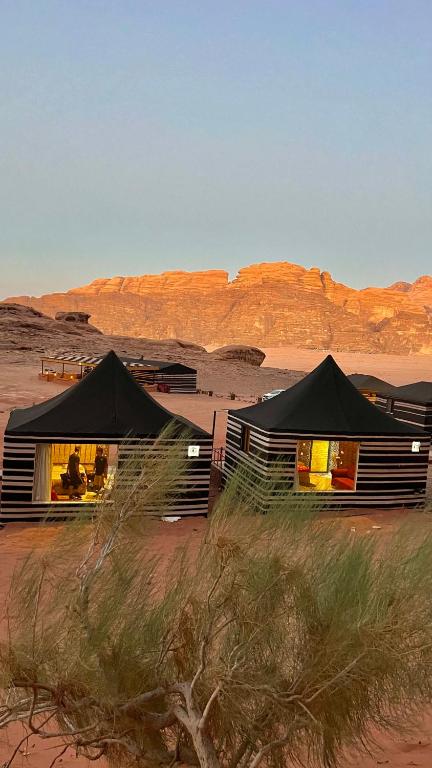 ROYAl WADI RUM CAMP - Habitación Triple Con Baño Privado
