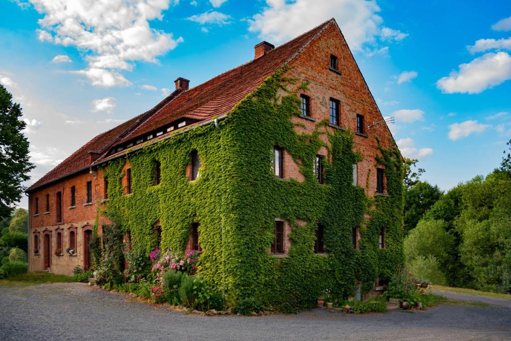 an old brick building covered in green ivy at Agrohippika in Kondratów