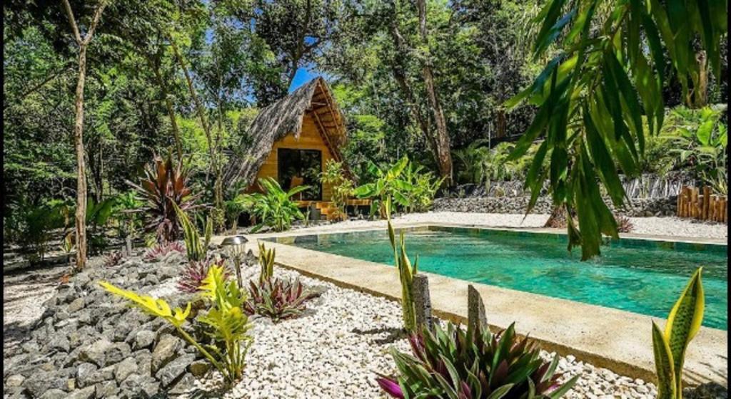 Bazén v ubytování Cabinas de Lou Eco Lodge TAMARINDO nebo v jeho okolí
