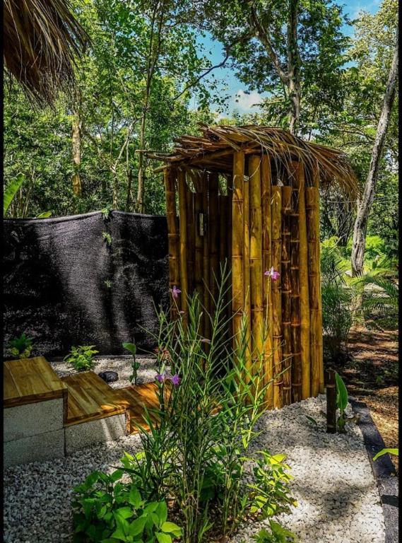 Zahrada ubytování Cabinas de Lou Eco Lodge TAMARINDO