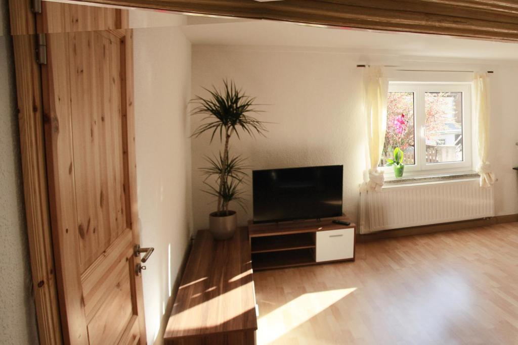 Sjónvarps- og/eða afþreyingartæki á 3 Seiten Ferienwohnung