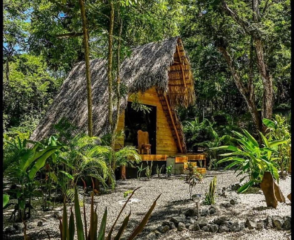 Zahrada ubytování Cabinas de Lou Eco Lodge TAMARINDO