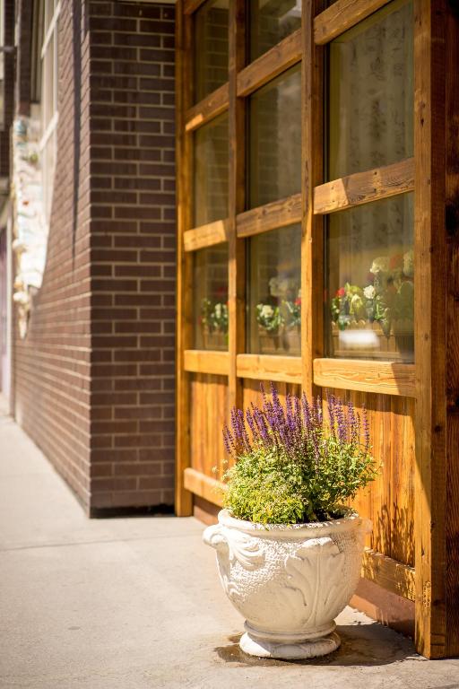 Hotel Enziana Wien - Resim 31