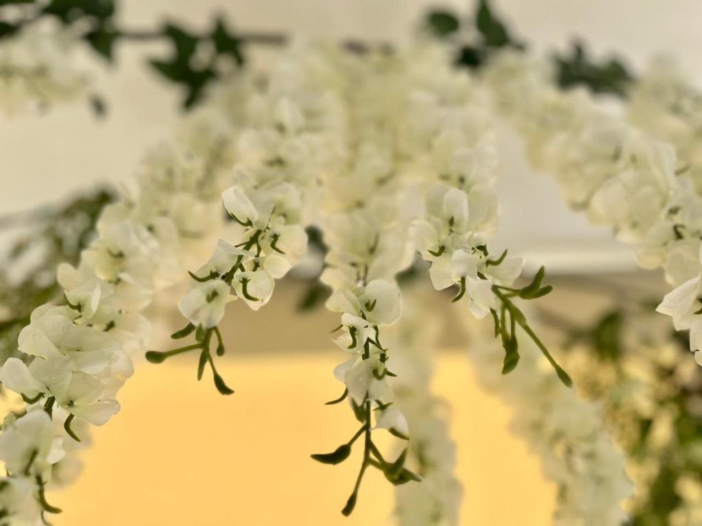Foto sihtkohas Náfpaktos asuva majutusasutuse Wisteria galeriist