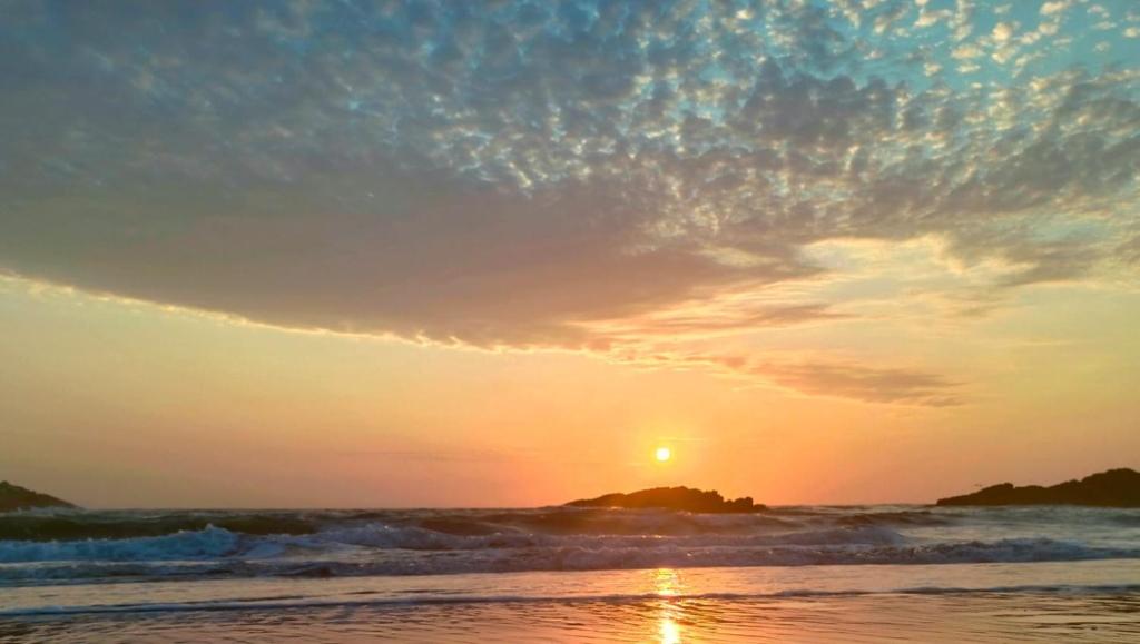 Phong cảnh thiên nhiên gần nhà khách