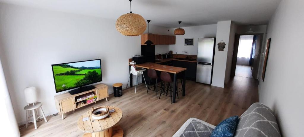 ein Wohnzimmer mit einem TV und einer Küche in der Unterkunft Appartement rénové totalement - Vue sur jardin - 52 m² in Houdemont