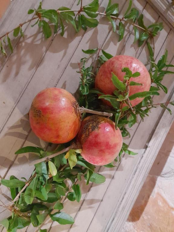 three pomegranates are sitting on a table at Villa Rossi in Polignano a Mare