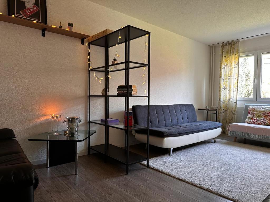 een woonkamer met een blauwe bank en een boekenplank bij Spacious apartment in Zürich