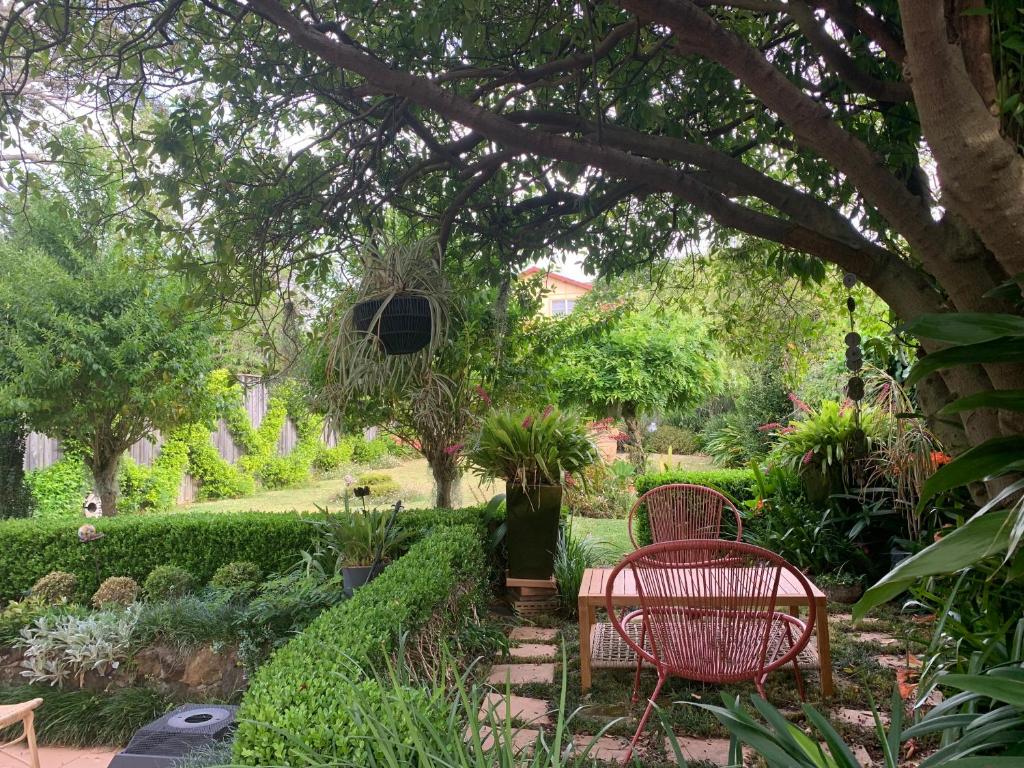 a garden with two red chairs under a tree at Oasis 5 Bedroom Charming House in Sydney