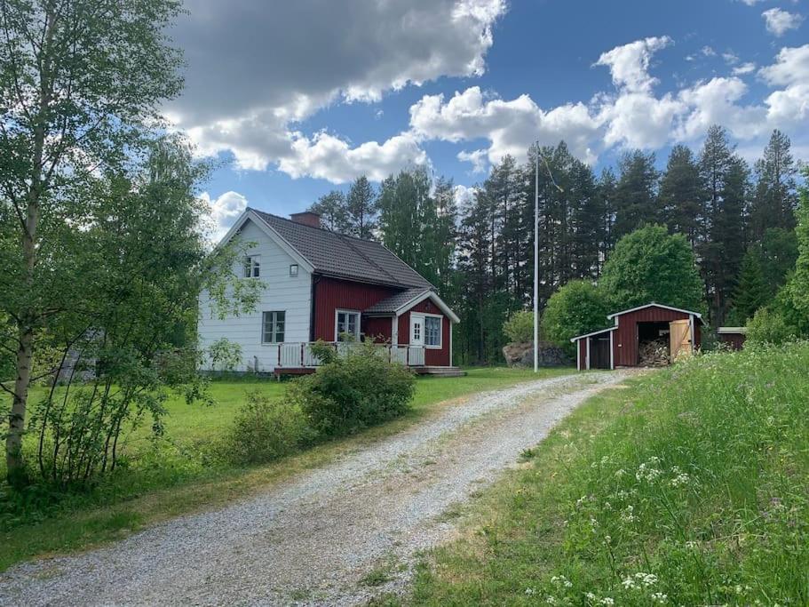 polna droga obok czerwono-białego domu w obiekcie Cozy Zweeds huis met openhaard en grote tuin w mieście Ramsele