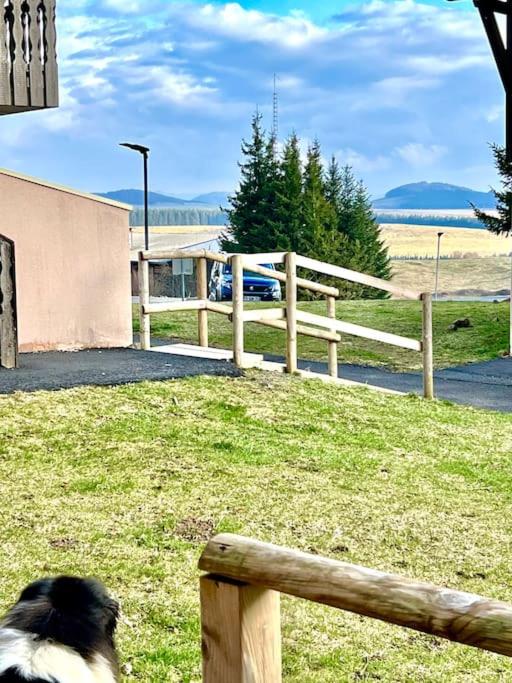 un chien est assis derrière une clôture en bois dans l'établissement Super Besse chez Sophie 2ch, séjour, wifi, 2tv, rdc, terrasse, parc, piscine, pkg, à Besse-et-Saint-Anastaise