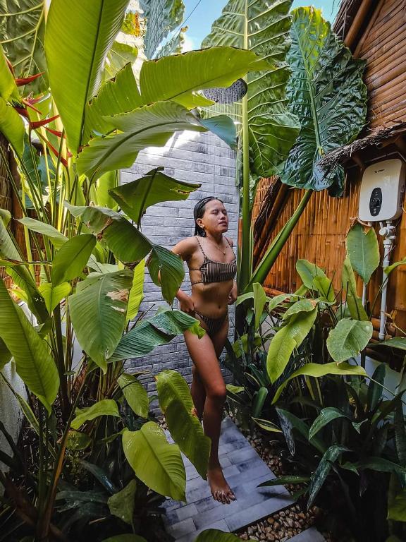 Os clientes hospedados em Tongo Hill Cottages