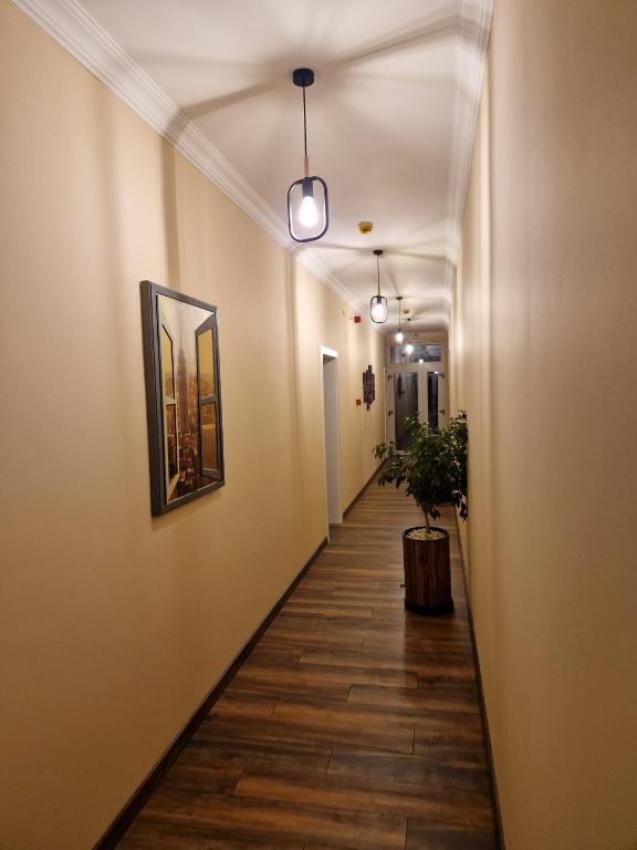 Bizi House Accommodation - Deluxe Apartment