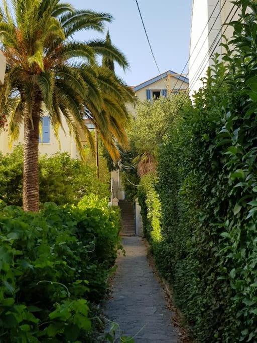Zahrada ubytování Appartement près des plages du Mourillon