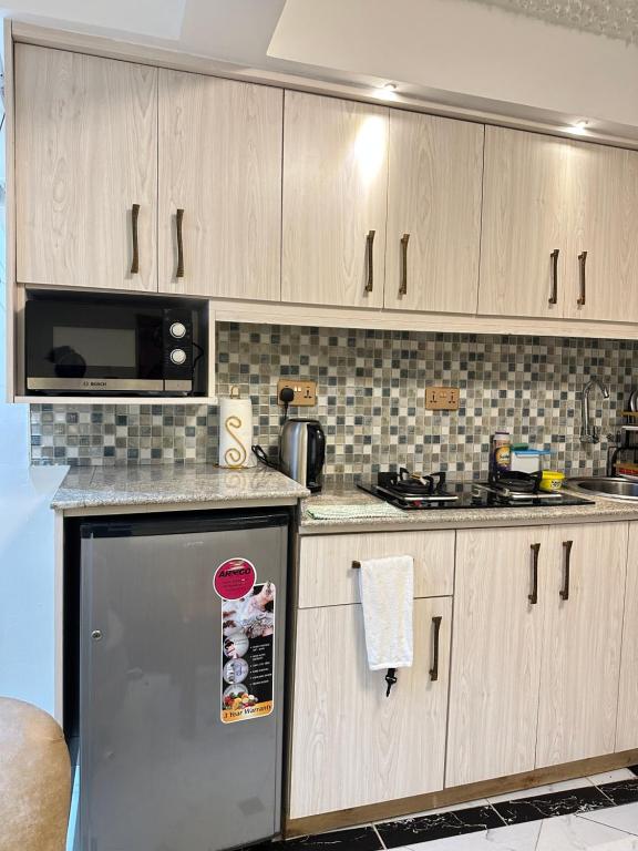 Kuchyň nebo kuchyňský kout v ubytování Regency Homes II