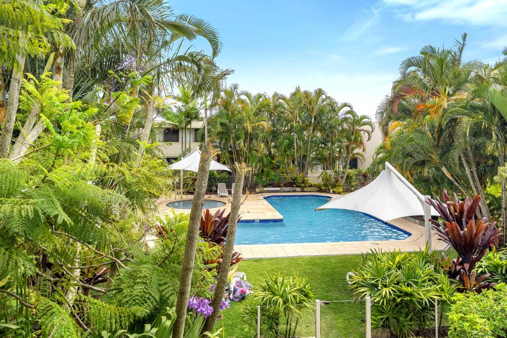 uma piscina num jardim com palmeiras em Quamby Place, Apt 65 - Garden View em Noosa Heads