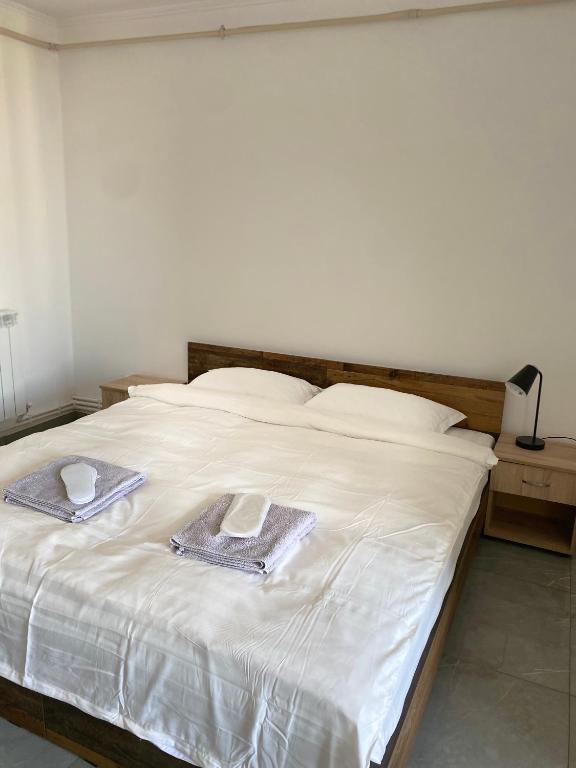 Casa Cojocaru - Appartement D'une Chambre