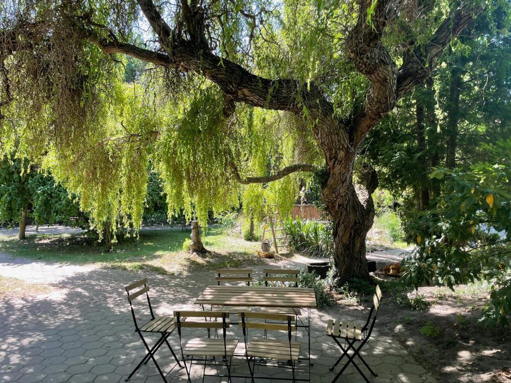 two benches and a picnic table under a tree at Harzhotel Warnstedter Krug in Thale