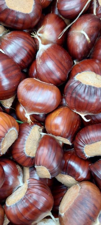 a close up of a pile of chestnuts at Widy's House in Bussoleno