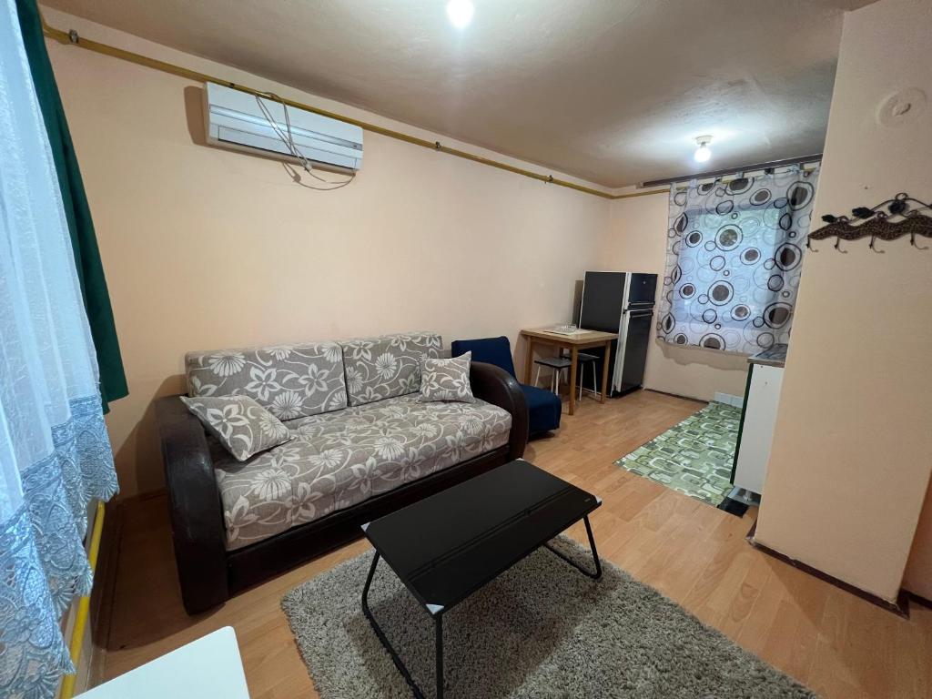 諾維薩德的住宿－Mina Home，客厅配有沙发和桌子