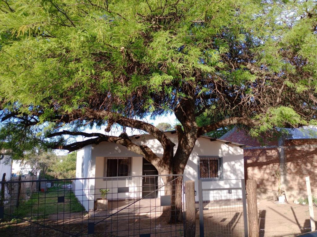 un gran árbol frente a una casa blanca en Rock House Embalse en Embalse